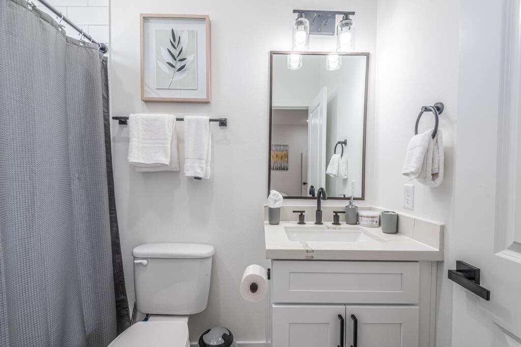 Luxury Home Near Houston Downtown & Medical Center Екстер'єр фото